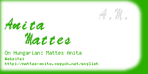anita mattes business card